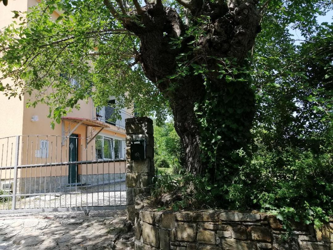 קופר Murva מראה חיצוני תמונה